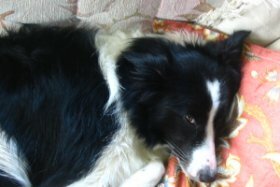 This is me really sleepy