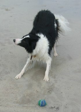 This is me on a beach