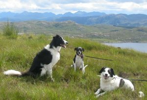 This is me and my gang