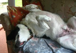 This is Sam showing off