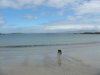 Sandy beaches in the Scottish Highlands